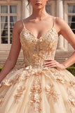 Ball Gown Corset Champagne Quinceanera Dress with 3D Flowers