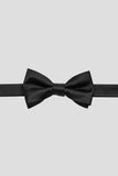 Aqua Men's Party Bow Ties