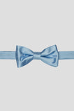 Aqua Men's Party Bow Ties