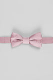 Aqua Men's Party Bow Ties