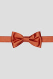 Aqua Men's Party Bow Ties