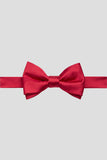 Aqua Men's Party Bow Ties