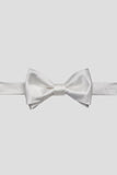Aqua Men's Party Bow Ties