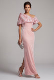 Pink Sheath Asymmetrical Neck Velvet Embroidered Long Mother of the Bride Dress