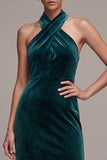 Peacock Sheath Halter Maxi Velvet Dress