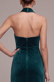 Peacock Sheath Halter Maxi Velvet Dress