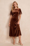 Coffee Velvet Round Neck Sheath Lace Short Sleeves Midi Dress