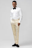 Glitter Champagne Shawl Lapel Jacquard 2 Piece Men's Prom Suits with Belt