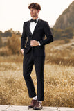 Black 3-Pieces Shawl Lapel Slim Fit Men's Suits