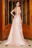 Blush A-Line Spaghetti Straps Long Prom Dress with Appliques