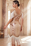 Apricot V-Neck Sequins Sheath Fringed Midi 1920s Dress With 5-Piece Accessories Set