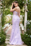 Sweetheart Neck Mermaid Long Purple Prom Dress With Appliques