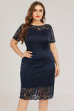 Navy Bodycon Lace Plus Size Dress