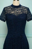 Navy High Neck Lace