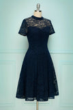 Navy High Neck Lace