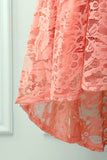 Blush Lace Asymmetrical Dress