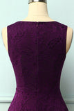 Lace Grape Asymmetrical Dress