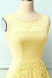 Asymmetrical Yellow Lace Dress