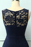 Asymmetrical Navy Lace Dress