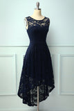 Asymmetrical Navy Lace Dress