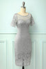 Load image into Gallery viewer, Grey Bodycon Lace Dress