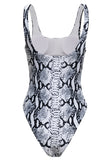 Grey Leopard Printed Swimsuits