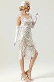 Sequin Fringe 1920s Dress