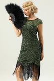 Sequins 1920s Fringe Dress