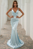 Mermaid V-neck Simple Prom Dress