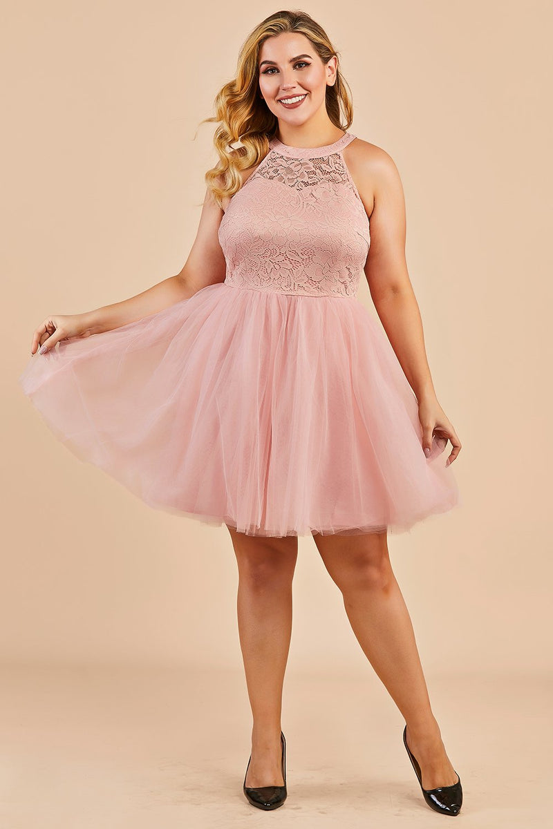 Load image into Gallery viewer, Blush Plus Size Party Dress