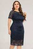 Navy Bodycon Lace Plus Size Dress