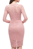 Bodycon Lace Dress with Sleeves