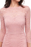 Bodycon Lace Dress with Sleeves