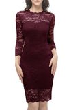 Bodycon Lace Dress with Sleeves