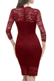 Bodycon Lace Dress with Sleeves