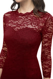 Bodycon Lace Dress with Sleeves