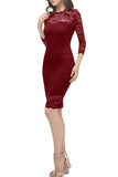 Bodycon Lace Dress with Sleeves