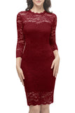 Bodycon Lace Dress with Sleeves