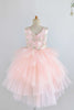 Load image into Gallery viewer, Jewel Pink Tulle Flower Girl Dress with Appliques