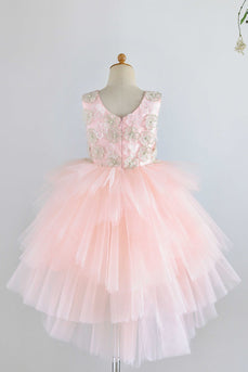 Jewel Pink Tulle Flower Girl Dress with Appliques