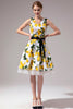 Load image into Gallery viewer, V-neck Lemon Dress