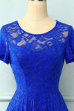 Asymmetical Royal Blue Lace Dress