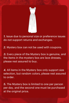 ZAPAKA MYSTERY BOX of 2Pc Lace Dresses