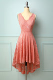 Blush V-Neck Lace Dress