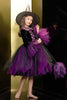Load image into Gallery viewer, Sparkly Black and Purple Tulle Halloween Girl Dress