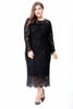 Load image into Gallery viewer, Plus Size Long Sleeves Wedding Guest Dress
