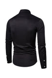 Lapel Long Sleeve Men's Casual Plus Size Shirt