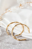 Golden Circle Earrings