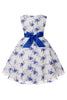 Load image into Gallery viewer, Blue Embroidery Lace Girls&#39; Dress with Bowknot