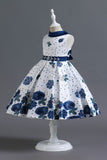 A Line Jewel Neck Blue Printed Girl Dress